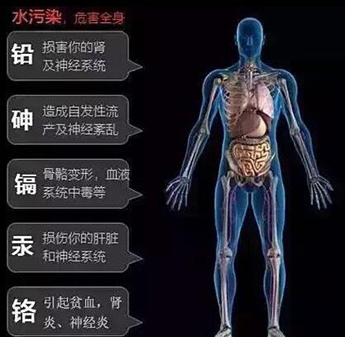 水污染对人体健康的影响与危害！